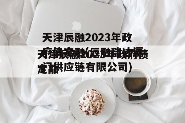 天津辰融2023年政府债定融(辰融瑞达厦门供应链有限公司)