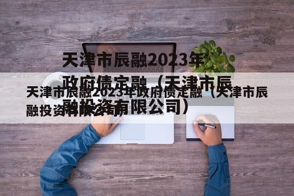 天津市辰融2023年政府债定融（天津市辰融投资有限公司）