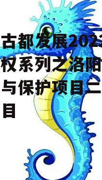 洛阳古都发展2022年债权系列之洛阳古城整治与保护项目二期工程项目