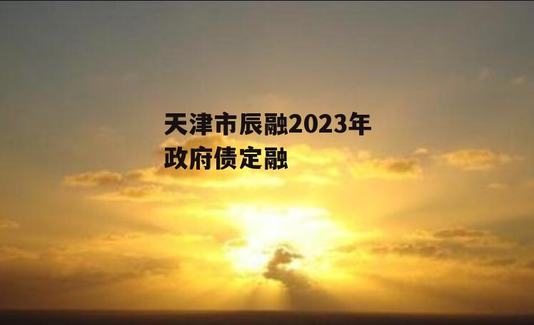 天津市辰融2023年政府债定融