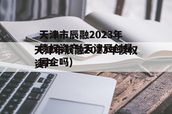 天津市辰融2023年债权资产(天津辰创是国企吗)