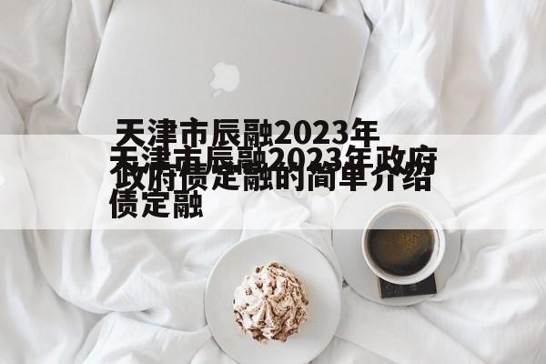 天津市辰融2023年政府债定融的简单介绍