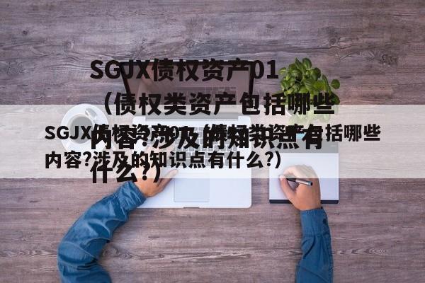 SGJX债权资产01（债权类资产包括哪些内容?涉及的知识点有什么?）