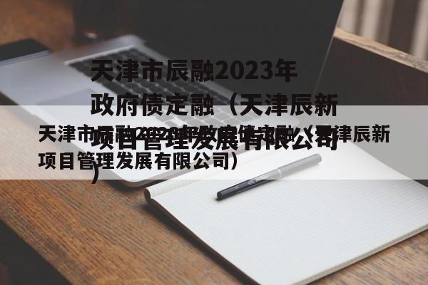 天津市辰融2023年政府债定融（天津辰新项目管理发展有限公司）