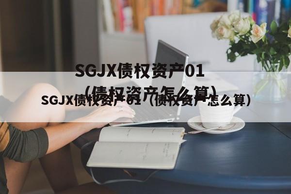 SGJX债权资产01（债权资产怎么算）