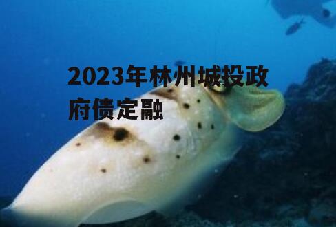 2023年林州城投政府债定融