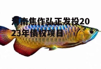 河南焦作弘正发投2023年债权项目