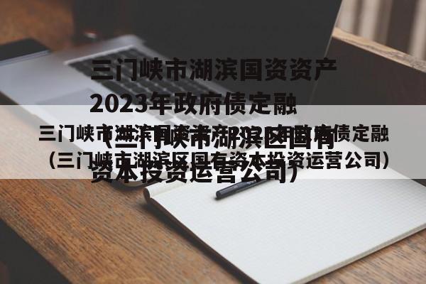 三门峡市湖滨国资资产2023年政府债定融（三门峡市湖滨区国有资本投资运营公司）