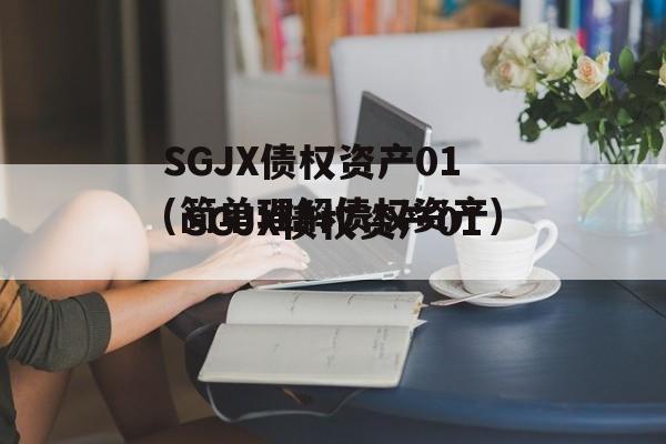 SGJX债权资产01(简单理解债权资产)