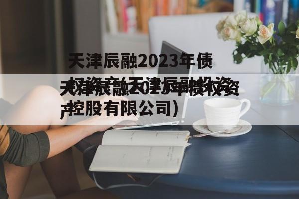 天津辰融2023年债权资产(天津辰融投资控股有限公司)