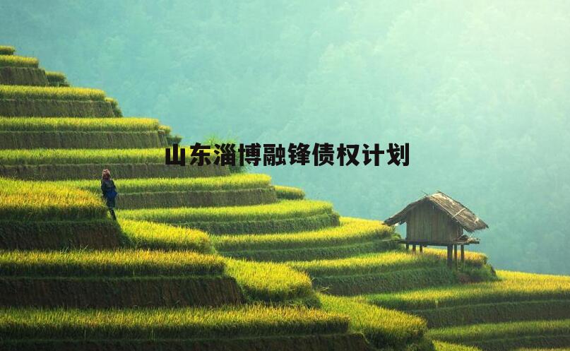 山东淄博融锋债权计划