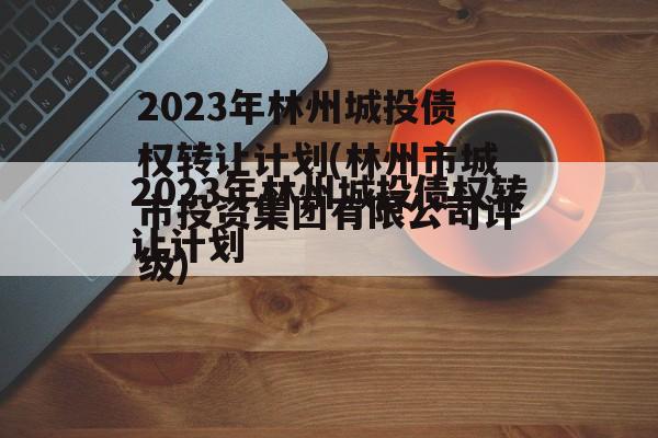 2023年林州城投债权转让计划(林州市城市投资集团有限公司评级)