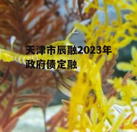 天津市辰融2023年政府债定融