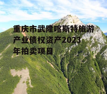 重庆市武隆喀斯特旅游产业债权资产2023年拍卖项目