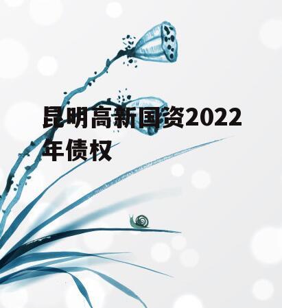 昆明高新国资2022年债权