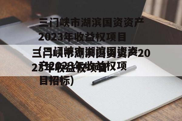 三门峡市湖滨国资资产2023年收益权项目(三门峡市湖滨国资资产2023年收益权项目招标)