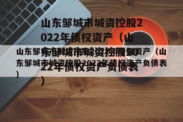 山东邹城市城资控股2022年债权资产（山东邹城市城资控股2022年债权资产负债表）