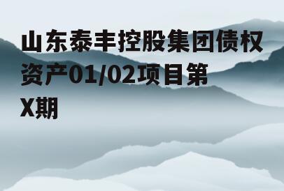 山东泰丰控股集团债权资产01/02项目第X期