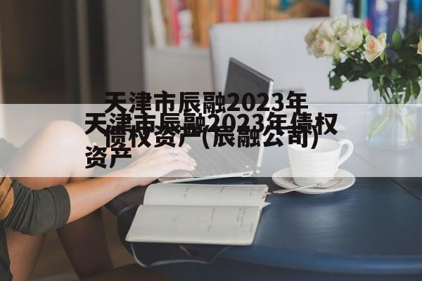 天津市辰融2023年债权资产(辰融公司)