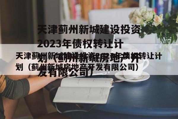 天津蓟州新城建设投资2023年债权转让计划（蓟州新城房地产开发有限公司）