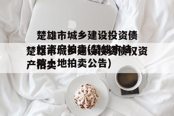 楚雄市城乡建设投资债权资产拍卖(楚雄市法院土地拍卖公告)