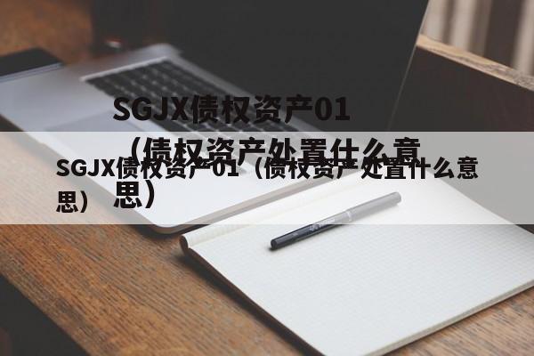 SGJX债权资产01（债权资产处置什么意思）