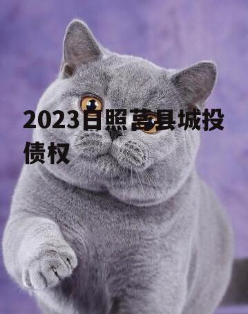 2023日照莒县城投债权