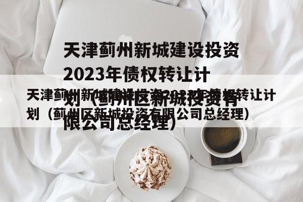 天津蓟州新城建设投资2023年债权转让计划（蓟州区新城投资有限公司总经理）