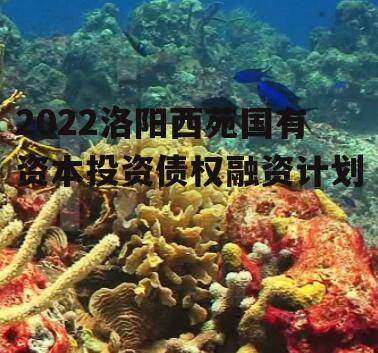 2022洛阳西苑国有资本投资债权融资计划