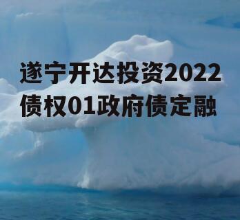 遂宁开达投资2022债权01政府债定融