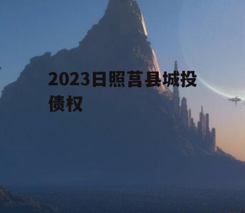 2023日照莒县城投债权