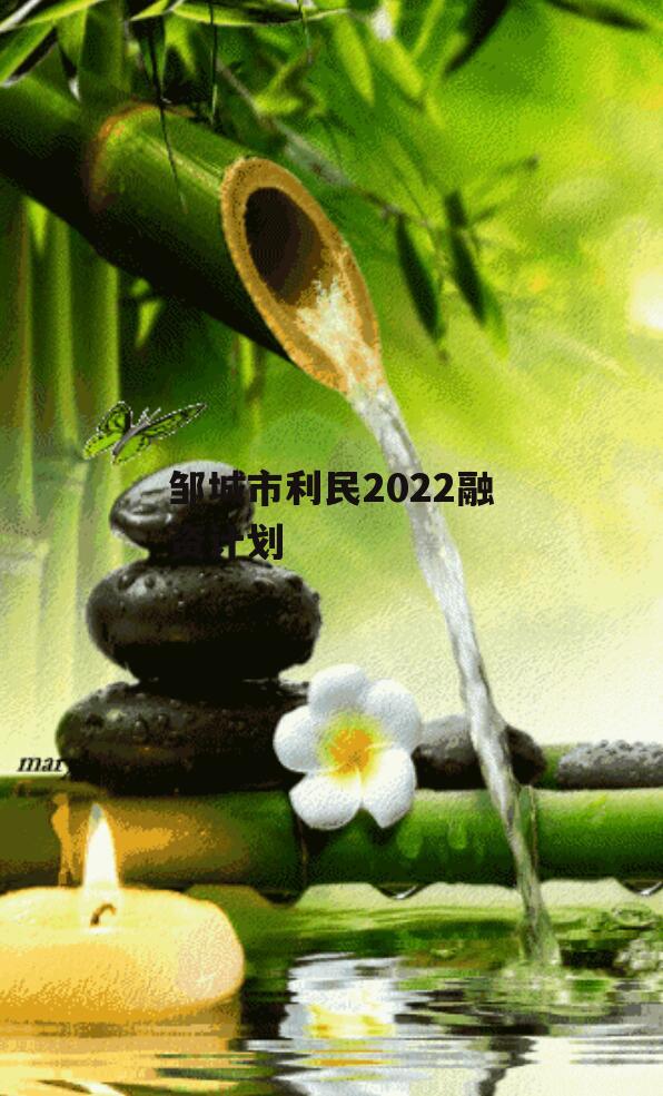 邹城市利民2022融资计划