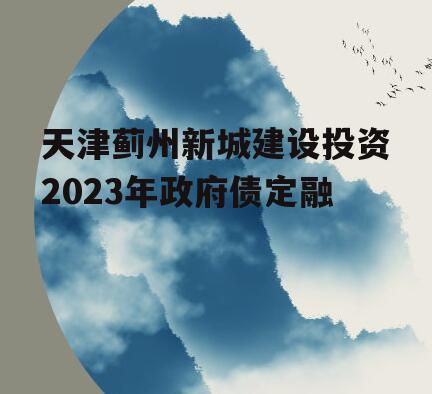 天津蓟州新城建设投资2023年政府债定融