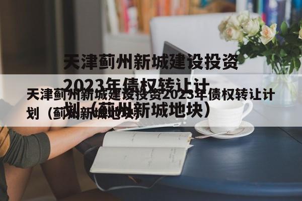 天津蓟州新城建设投资2023年债权转让计划（蓟州新城地块）