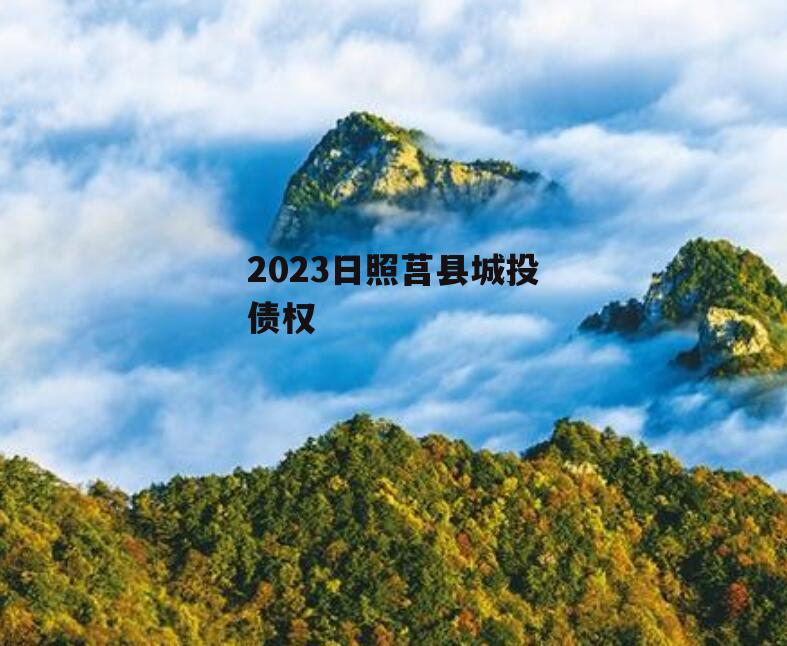 2023日照莒县城投债权