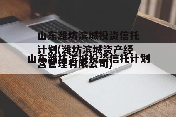 山东潍坊滨城投资信托计划(潍坊滨城资产经营管理有限公司)