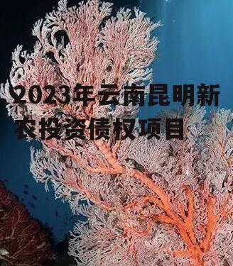 2023年云南昆明新农投资债权项目