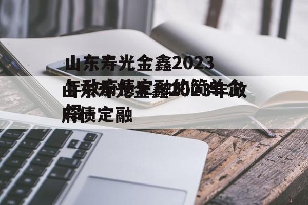 山东寿光金鑫2023年政府债定融的简单介绍