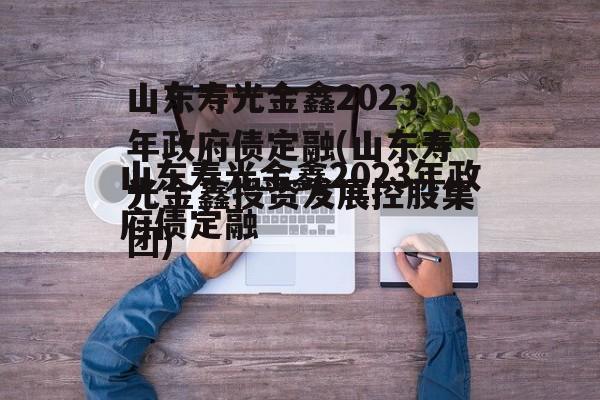 山东寿光金鑫2023年政府债定融(山东寿光金鑫投资发展控股集团)