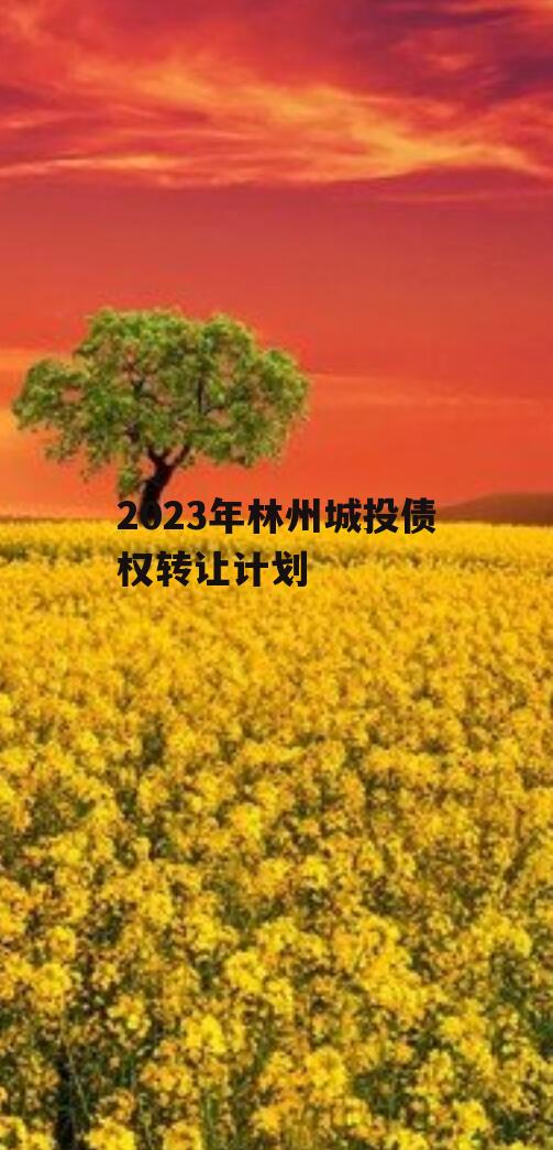 2023年林州城投债权转让计划