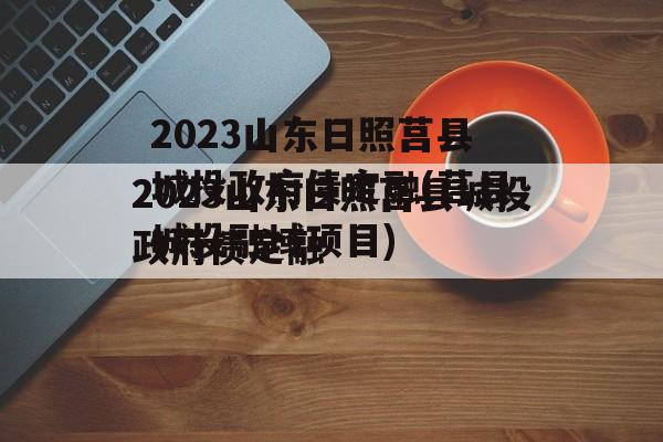 2023山东日照莒县城投政府债定融(莒县城投融域项目)