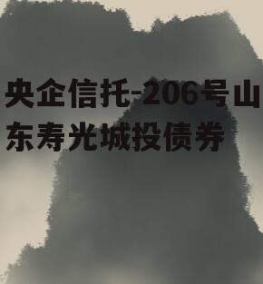 央企信托-206号山东寿光城投债券