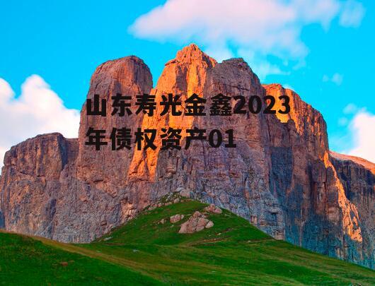 山东寿光金鑫2023年债权资产01