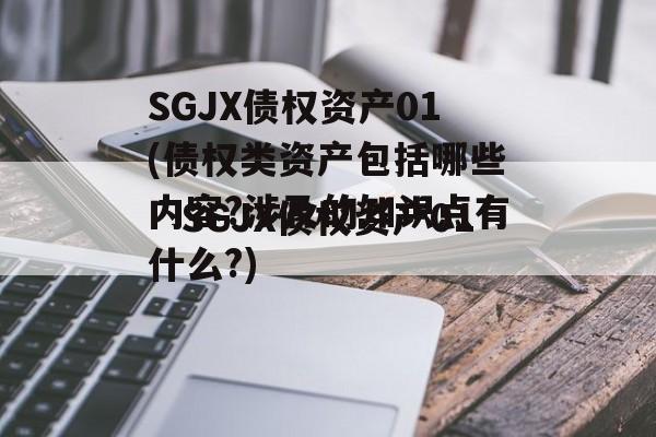 SGJX债权资产01(债权类资产包括哪些内容?涉及的知识点有什么?)