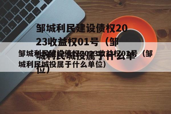 邹城利民建设债权2023收益权01号（邹城利民城投属于什么单位）