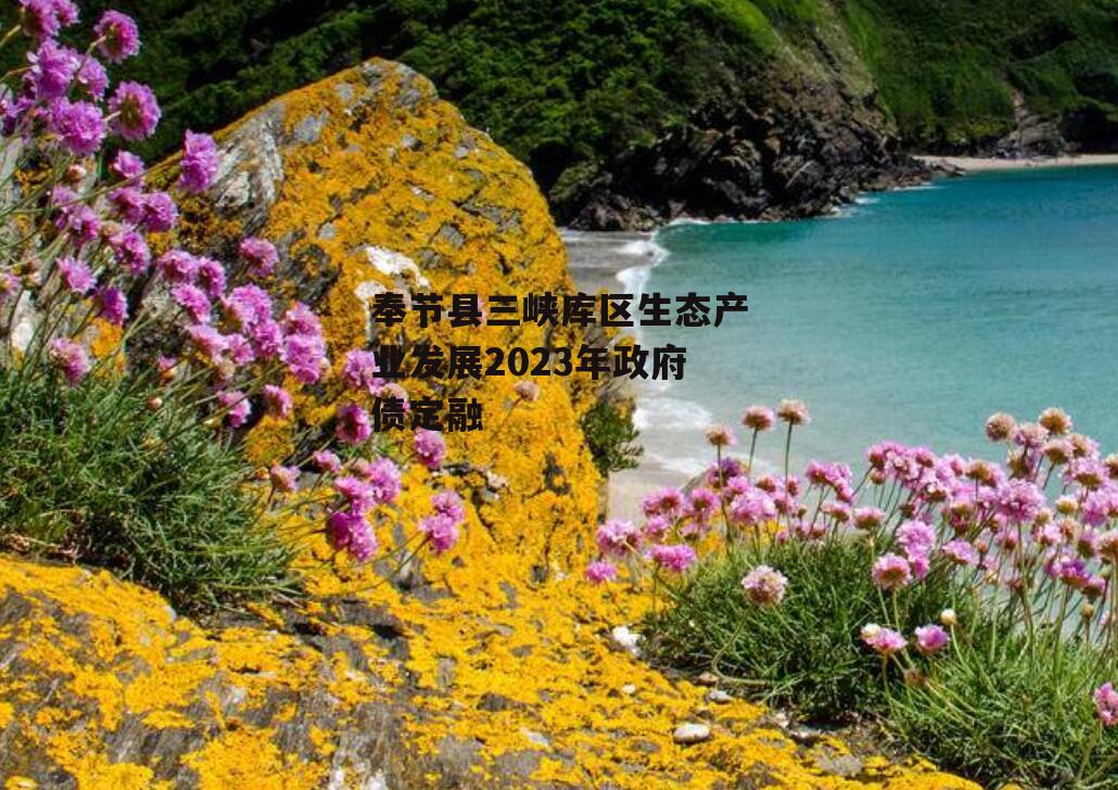 奉节县三峡库区生态产业发展2023年政府债定融