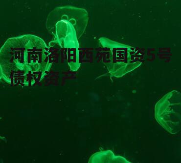 河南洛阳西苑国资5号债权资产