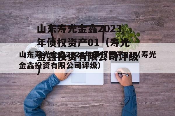 山东寿光金鑫2023年债权资产01（寿光金鑫投资有限公司评级）