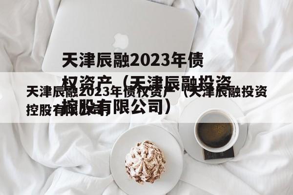 天津辰融2023年债权资产（天津辰融投资控股有限公司）