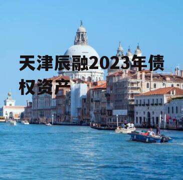 天津辰融2023年债权资产